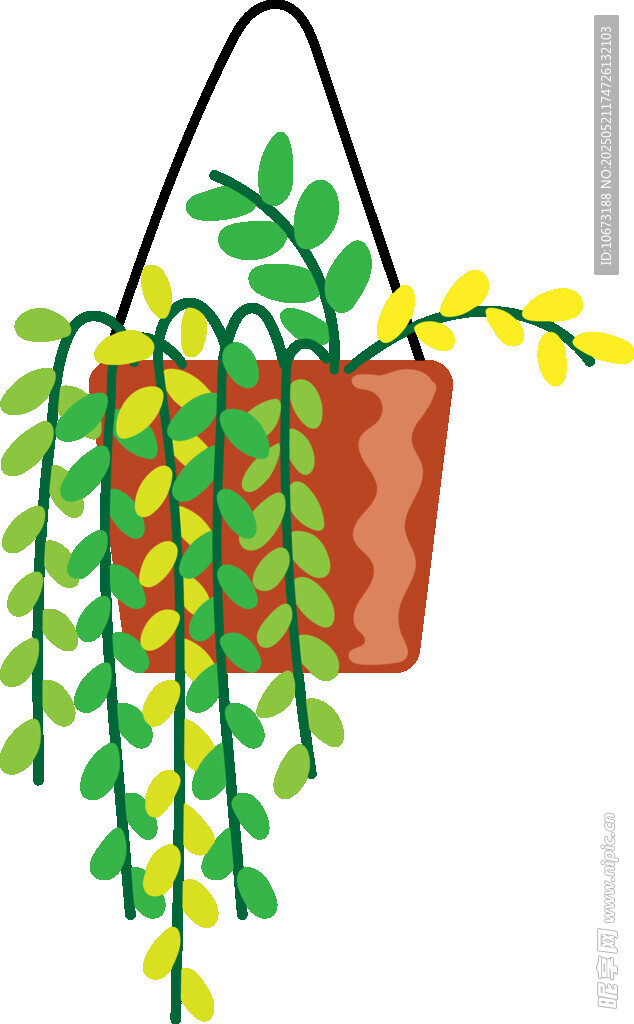懸掛綠植盆栽