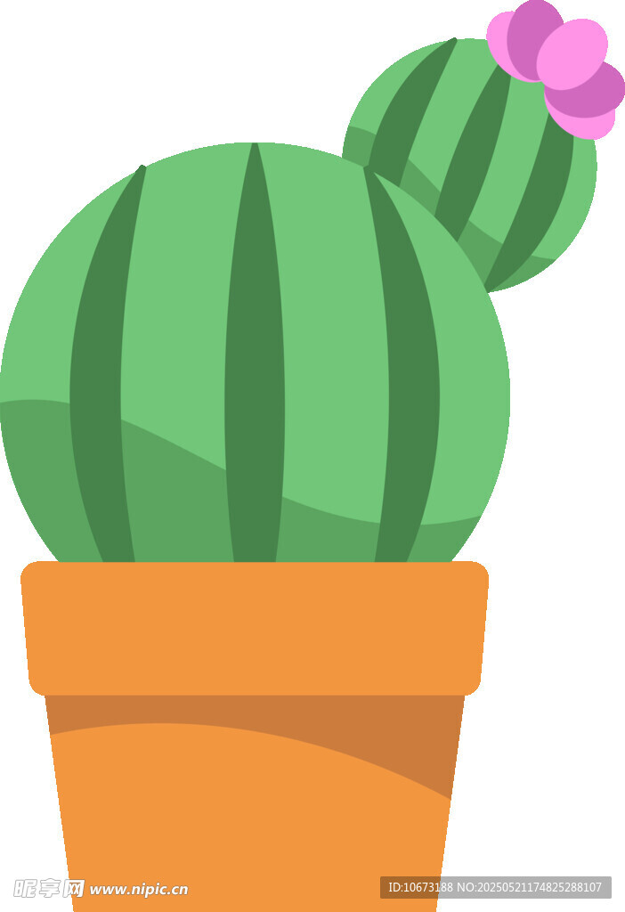 盆栽仙人掌 清新綠植插畫