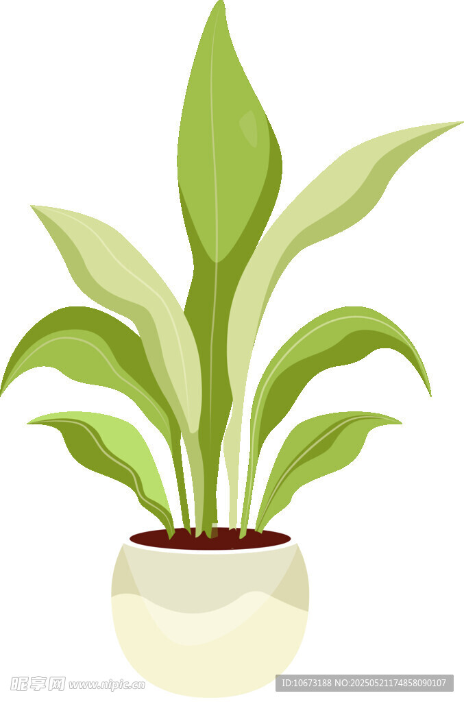 盆栽綠植 清新室內小植物