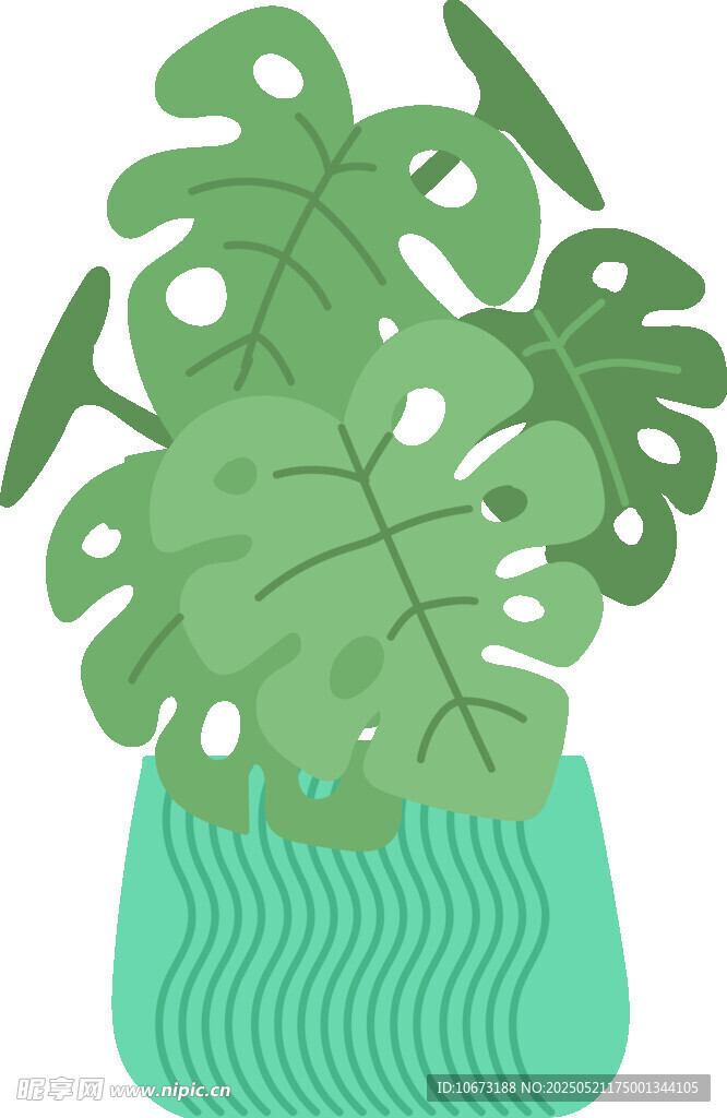 綠色龜背竹盆栽插畫