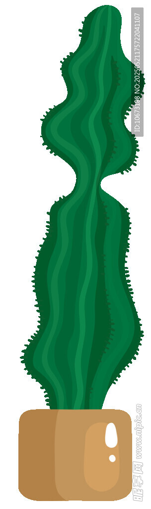 獨(dú)特造型仙人掌盆栽