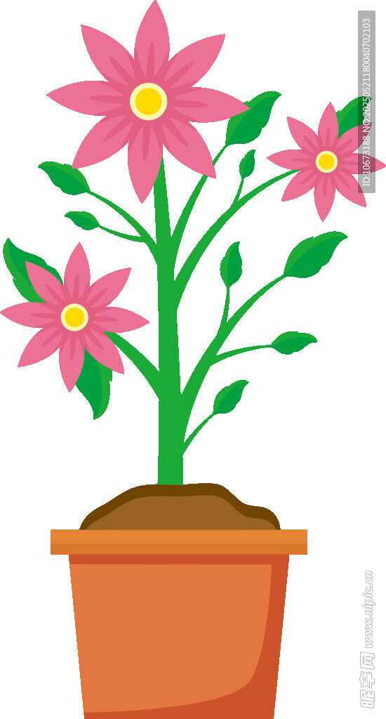 花盆中的粉色花卉