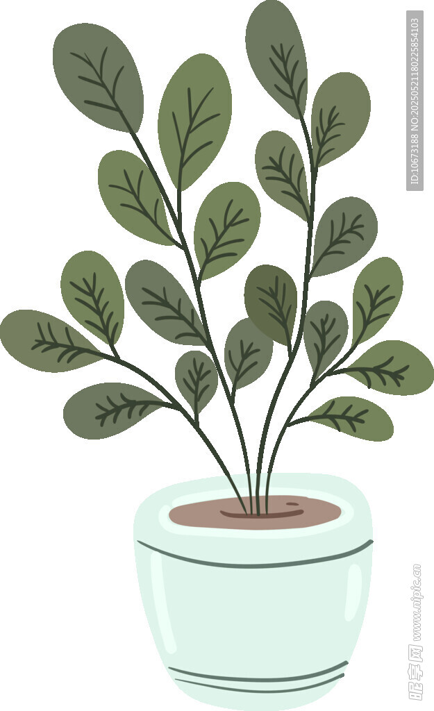 盆栽綠植 清新室內小植物