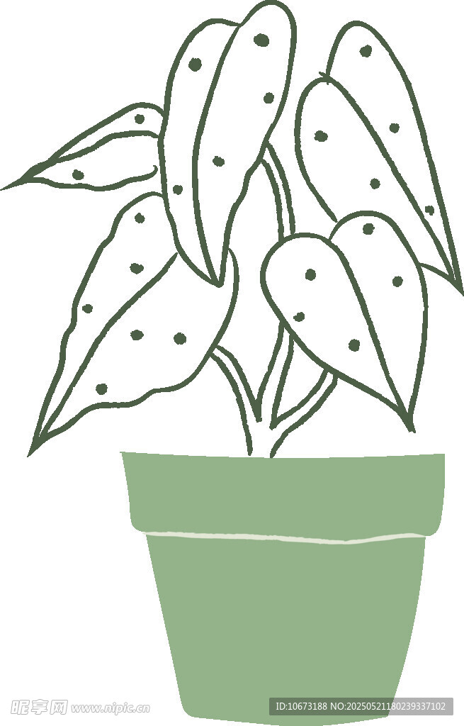 盆栽植物簡筆畫