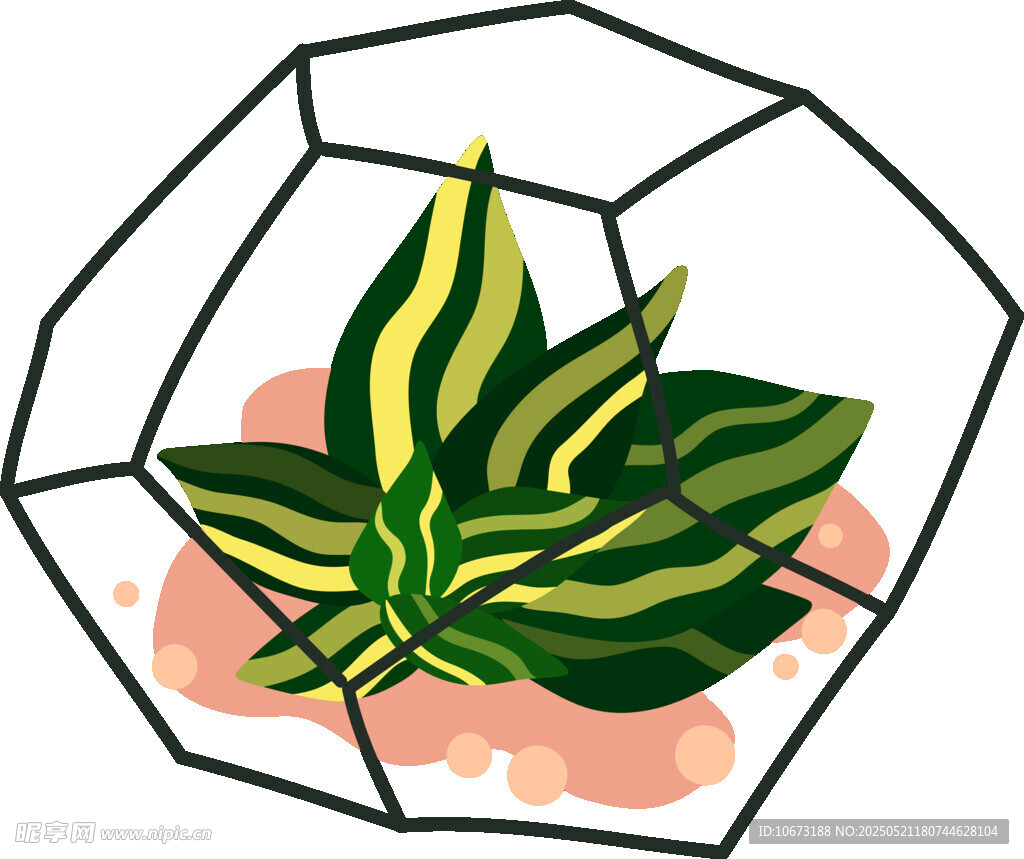 幾何框中的綠植插畫