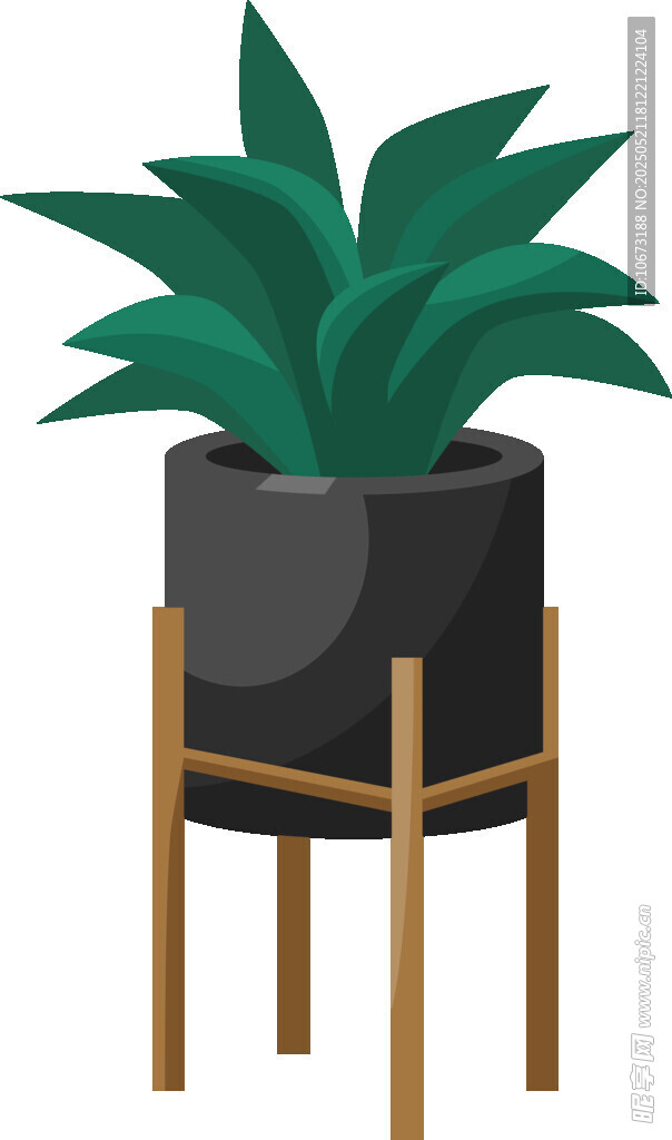 黑色花盆中的綠植擺件