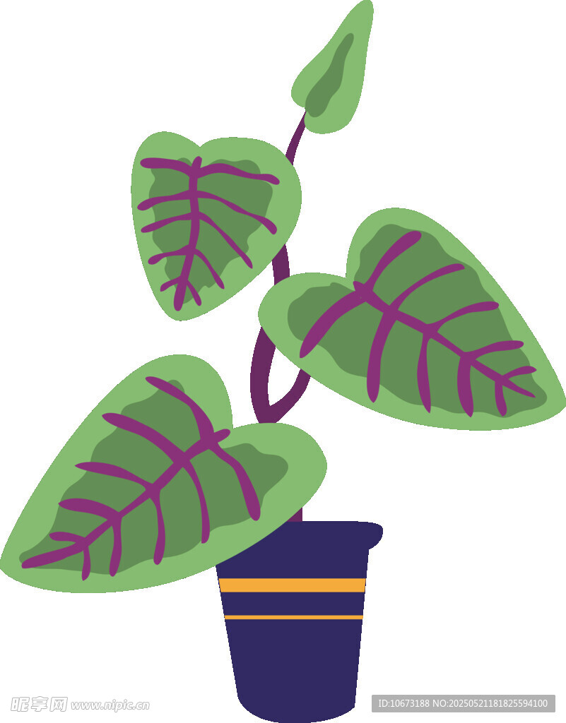 盆栽紫葉植物插畫