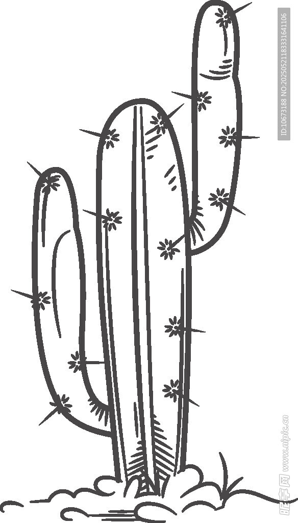 手繪仙人掌插畫