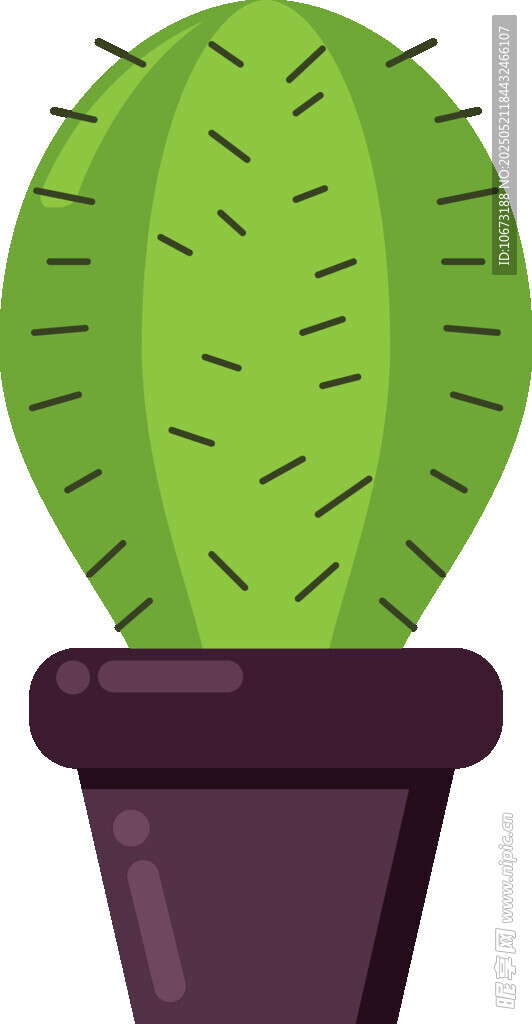 盆栽仙人掌