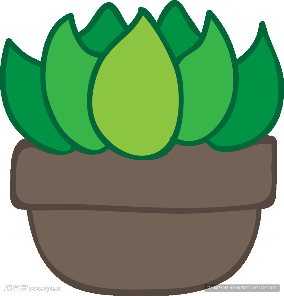 盆栽多肉植物插畫
