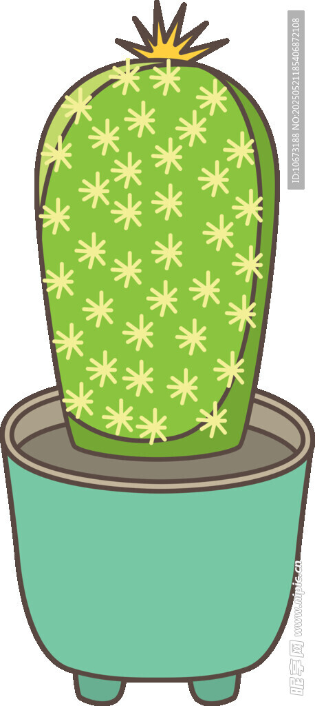 可愛帶腿仙人掌盆栽