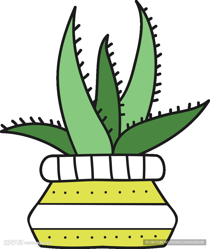 盆栽蘆薈插畫