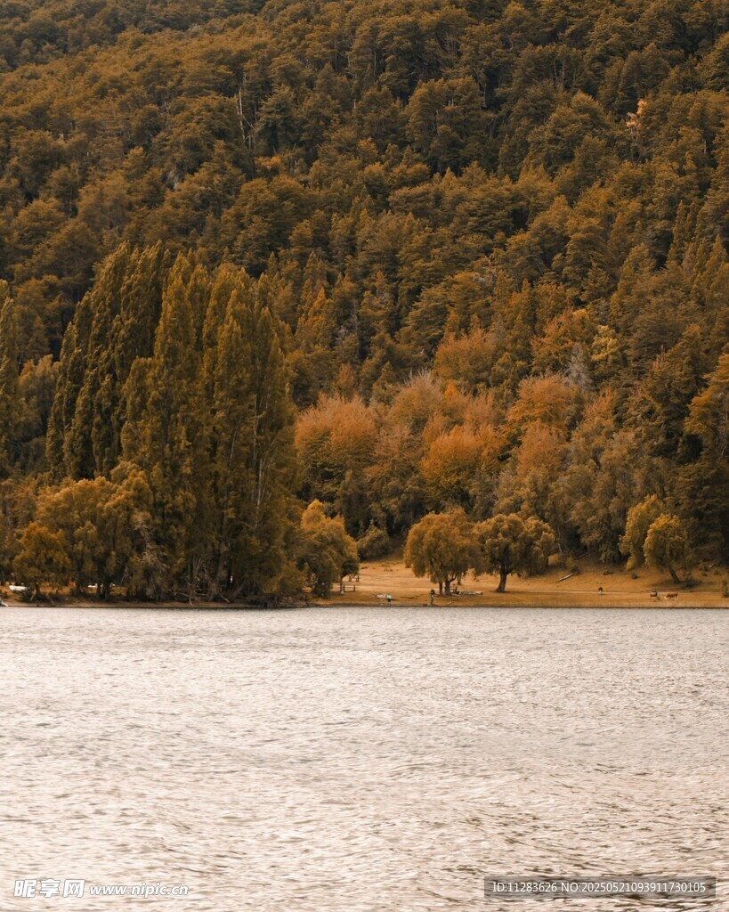秋日湖畔山林美景