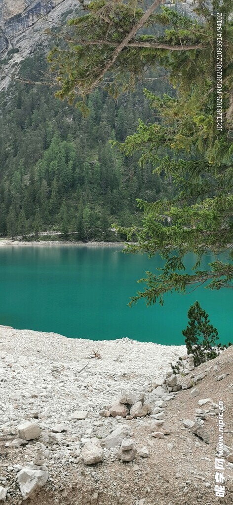 湖畔美景 翠綠山林與藍湖