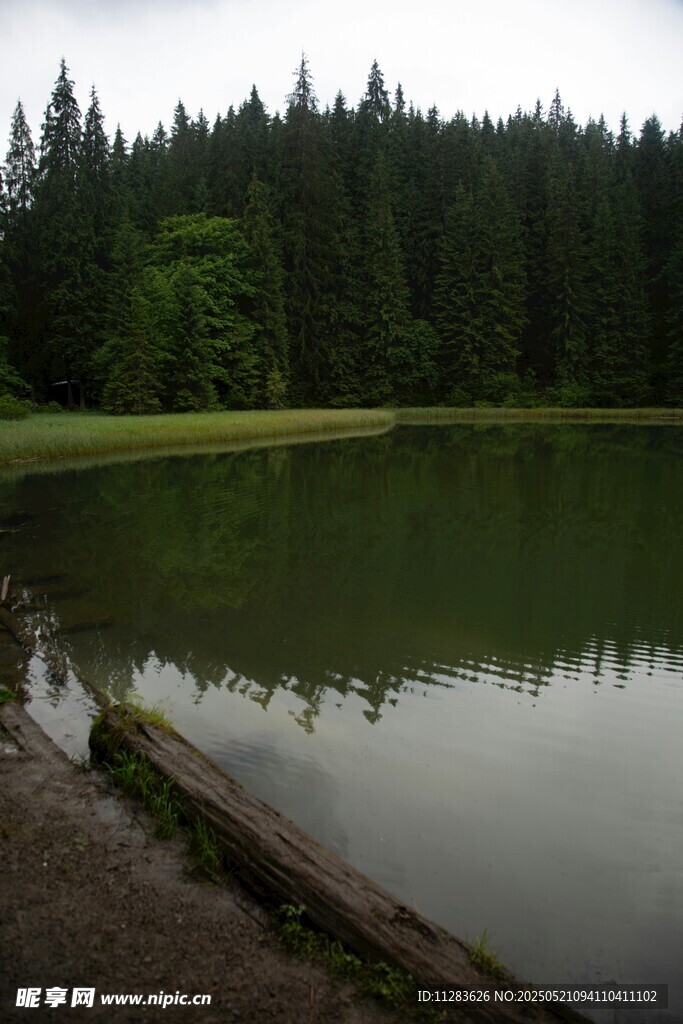 寧靜山林中的靜謐湖水