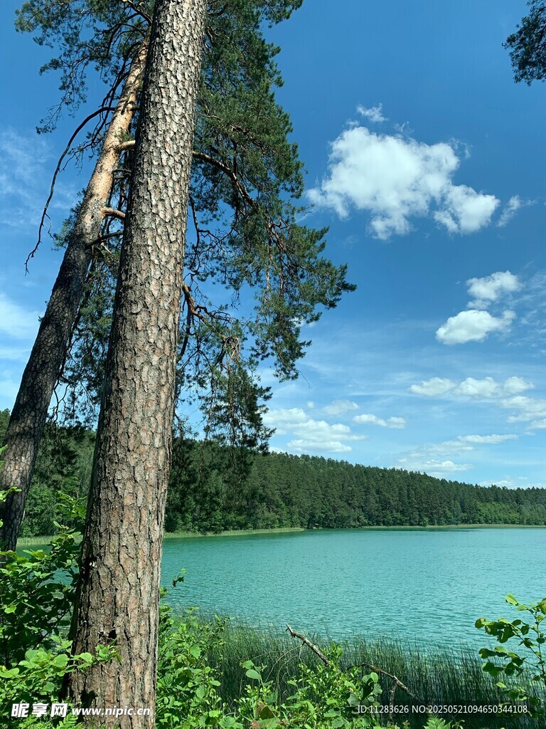 湖畔綠樹藍天美麗景致