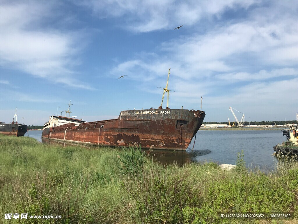 廢棄船只靜立水邊草地