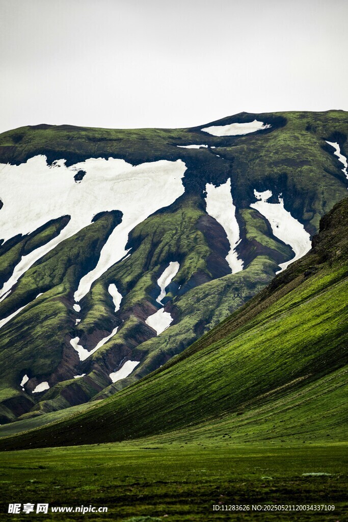 雪山下的翠綠山坡
