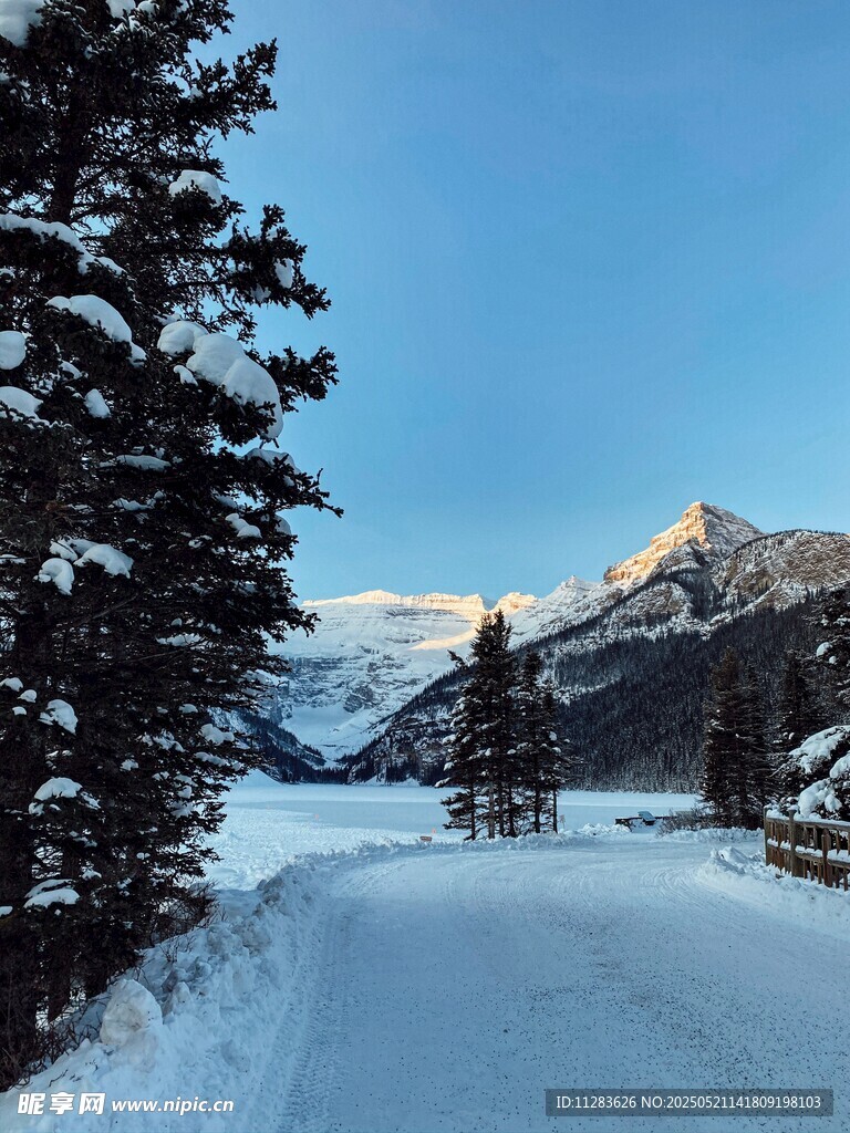 冬日雪覆山林的靜謐美景