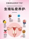 生殖私密養護 
