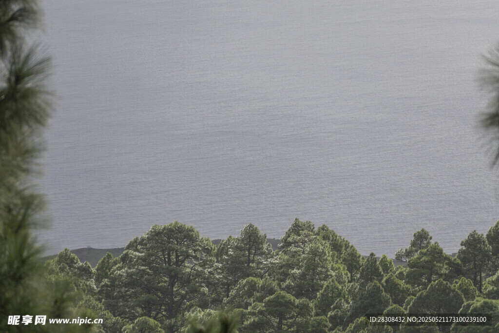 山林遠(yuǎn)景