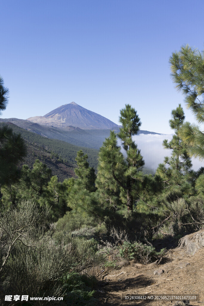 山間松景與遠(yuǎn)處巍峨山峰