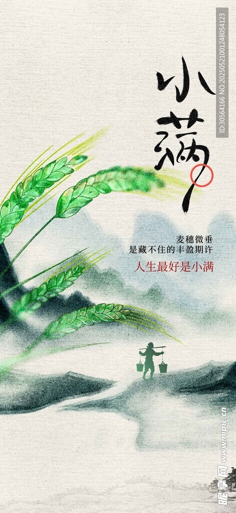 小滿節氣海報