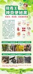 植物修復(fù)技術(shù)宣傳頁展示