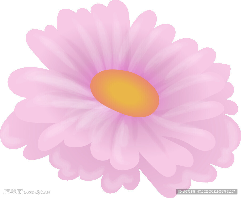 粉色雛菊花朵插畫