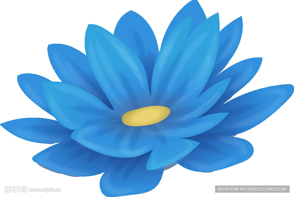 藍色蓮花插畫