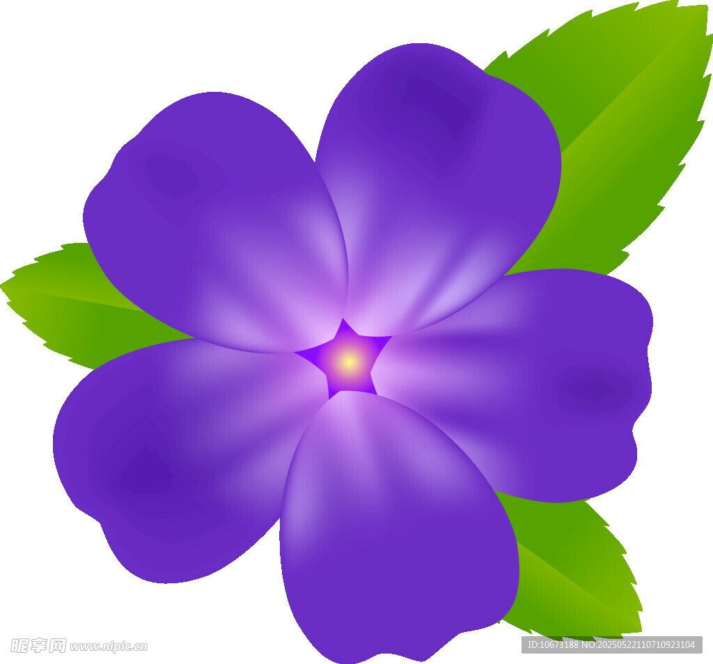 紫色花朵配綠葉插畫(huà)