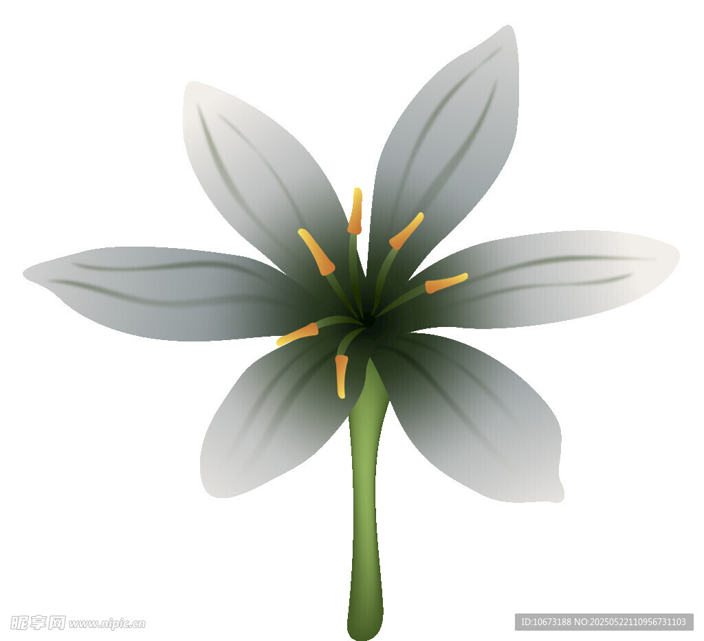 白色六瓣花插畫