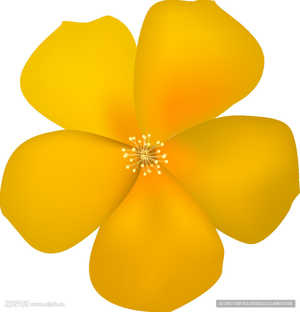黃色五瓣花插畫