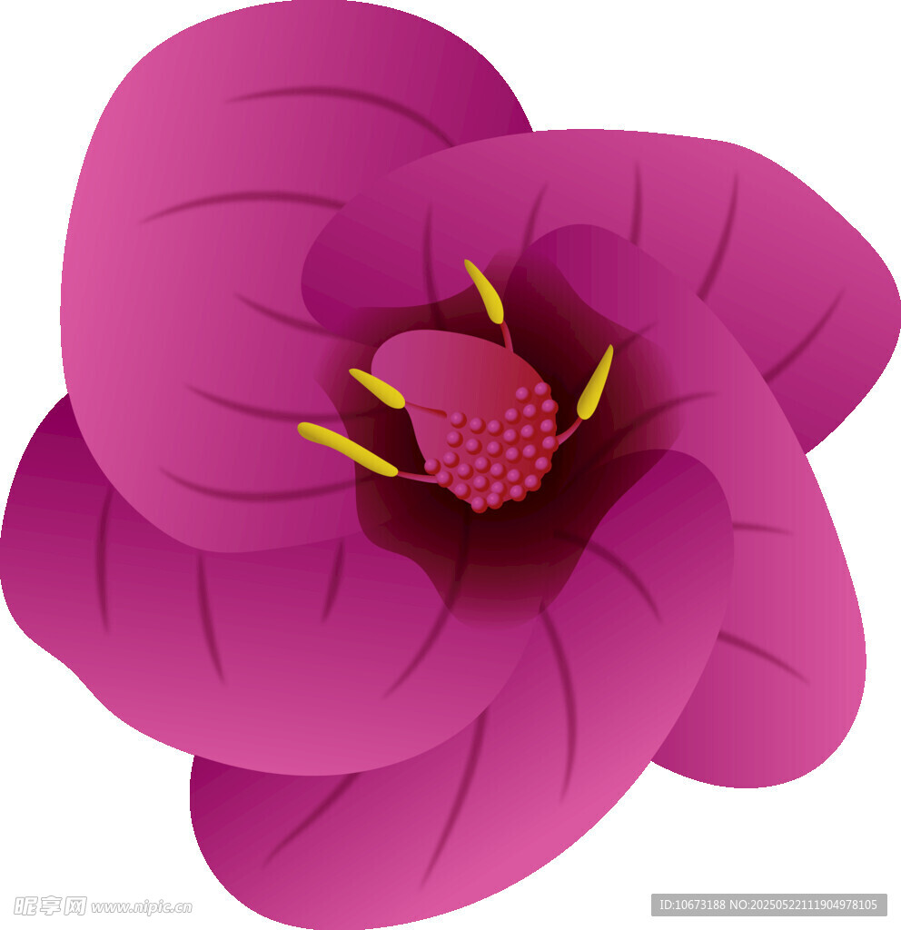 紫色花朵插畫