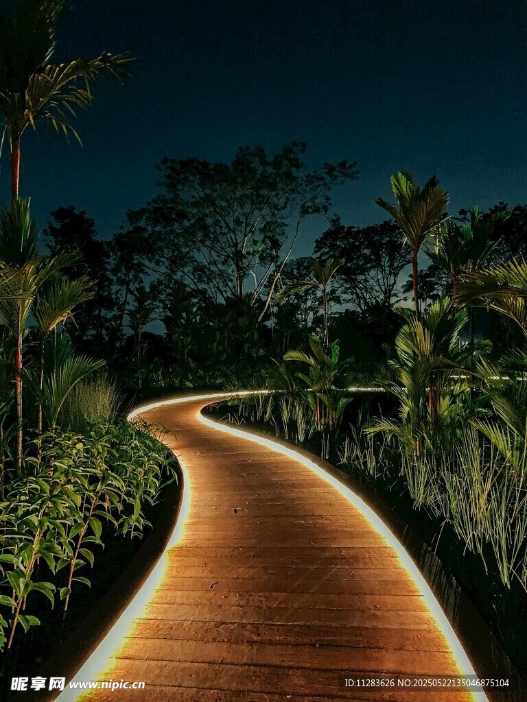 夜間木質步道的靜謐美景