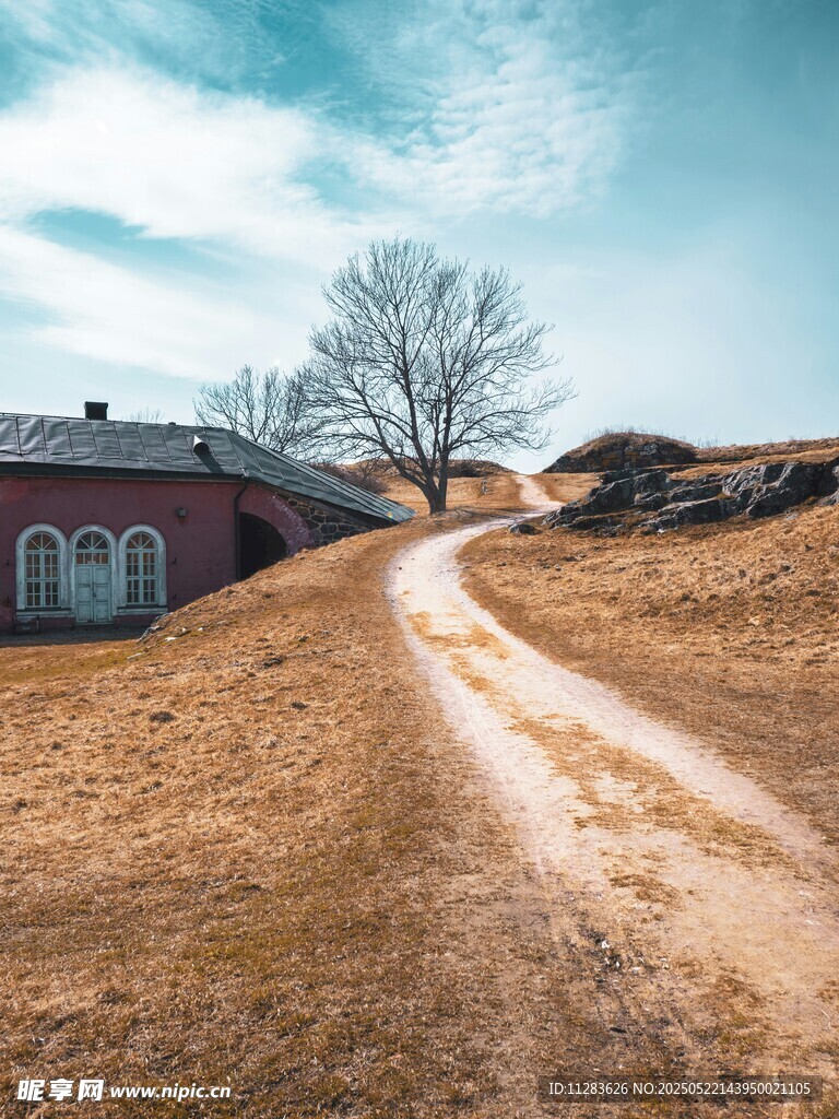 鄉村土路旁的寧靜小屋