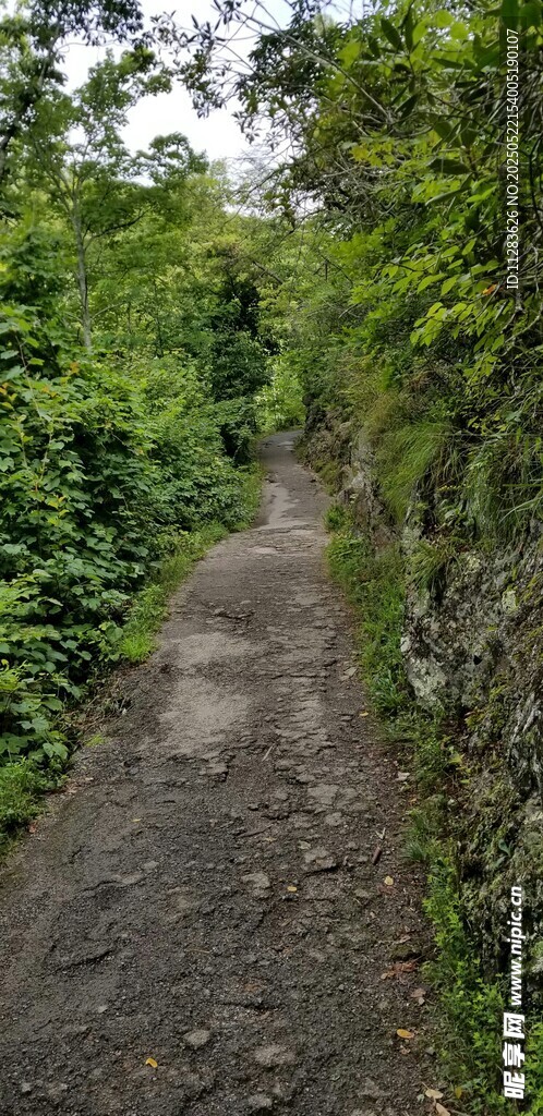 山間幽靜小徑