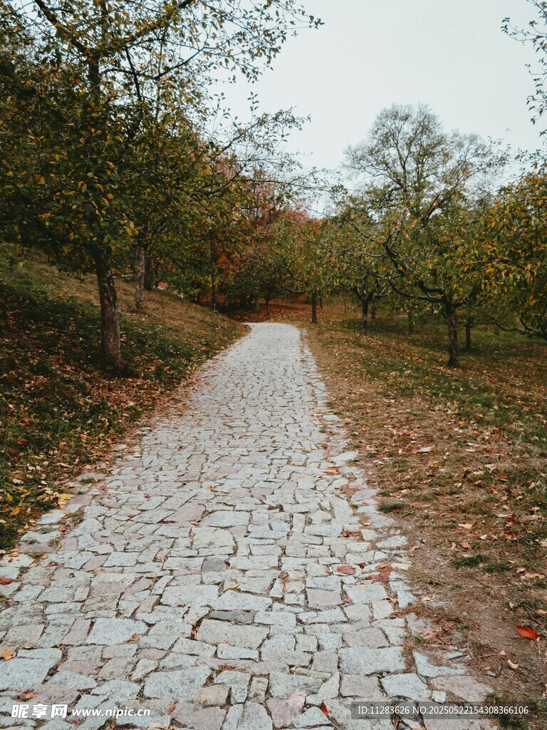 林間碎石小徑秋景