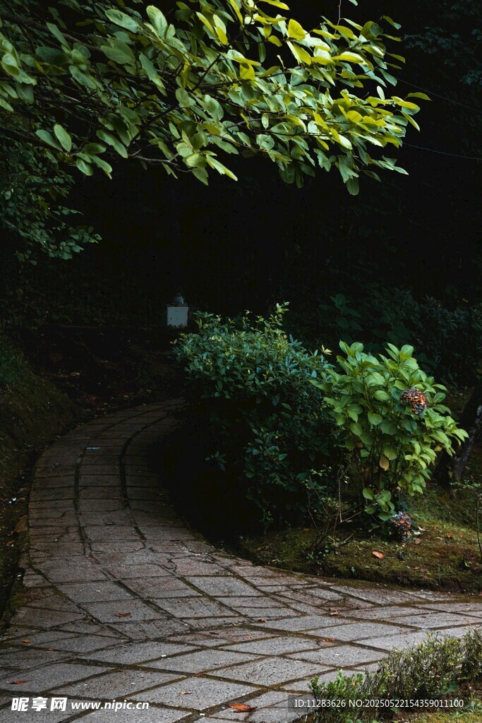 林間蜿蜒石板小徑