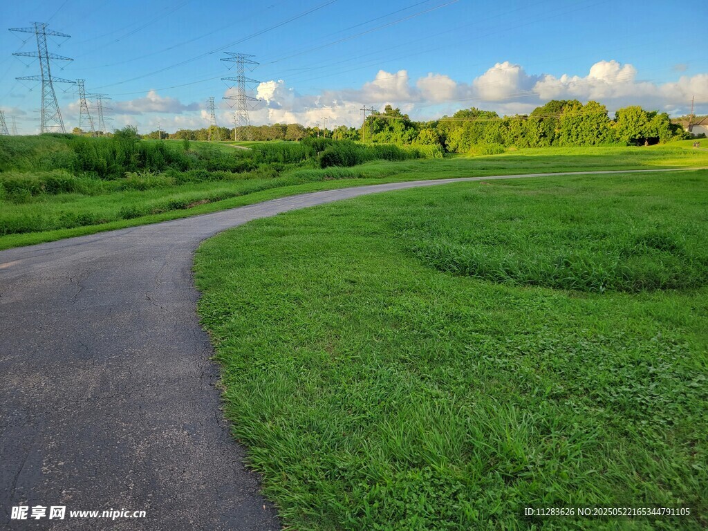 鄉(xiāng)間小路旁的翠綠田野