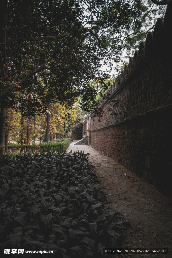 林間石徑旁的磚墻風(fēng)景