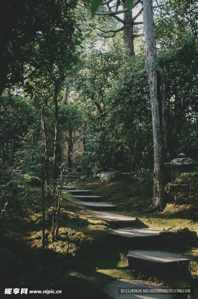 靜謐林間石板小徑景觀