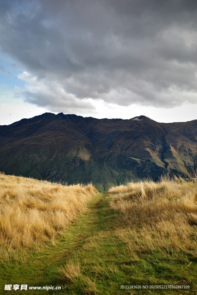 山間草地與遠處山巒景色