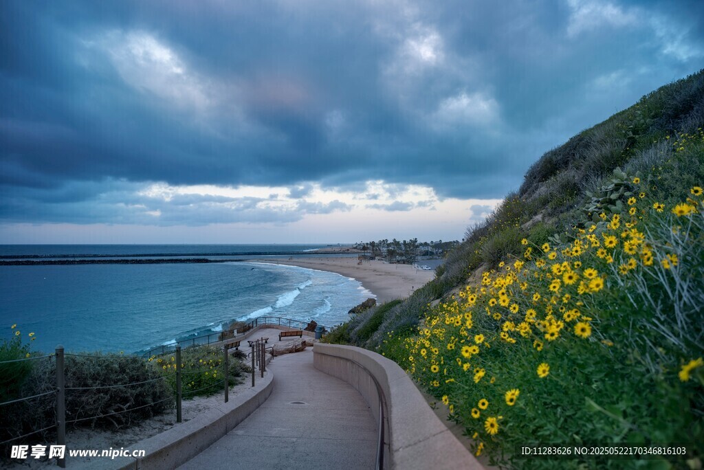 海邊花徑美景