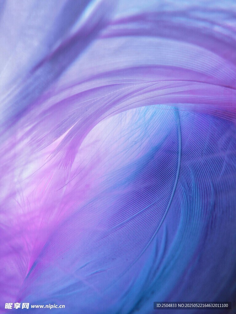 夢幻漸變色彩流體紋理