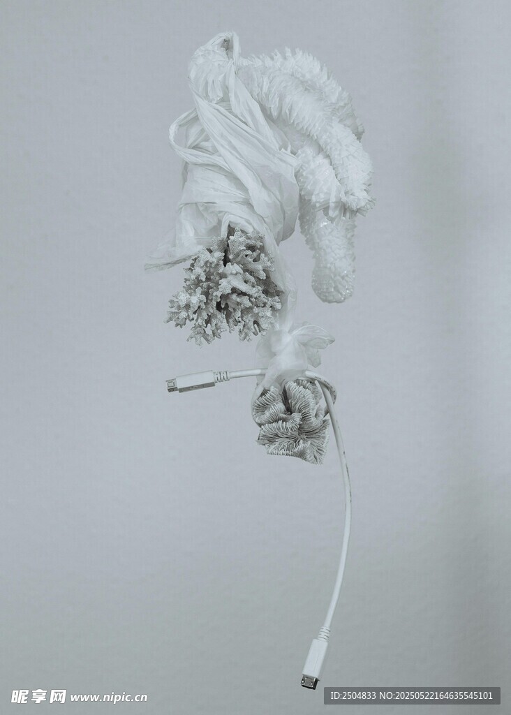 白色羽毛裝飾頭飾