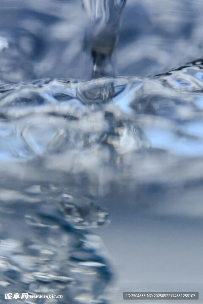 白鷺入水瞬間