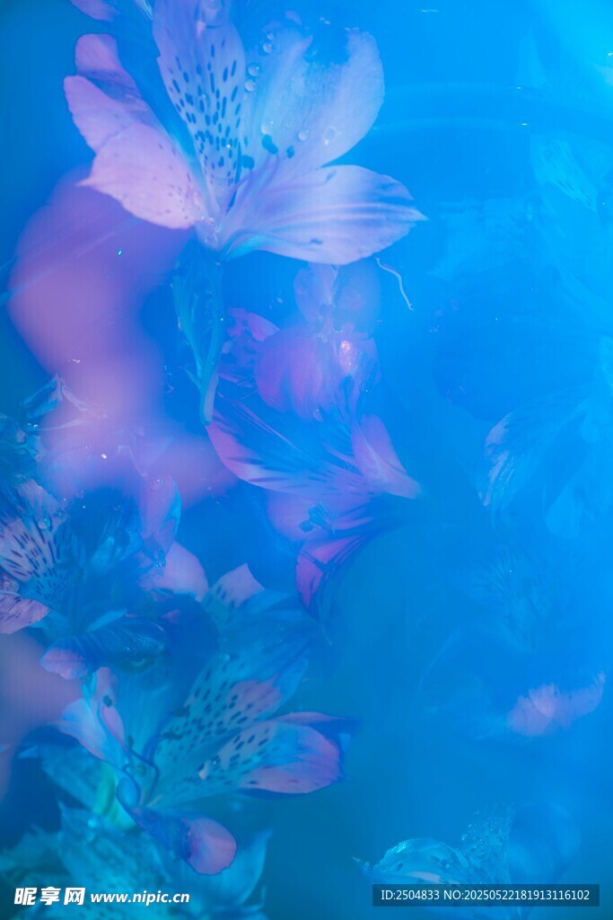 夢幻藍(lán)色海底花卉景象