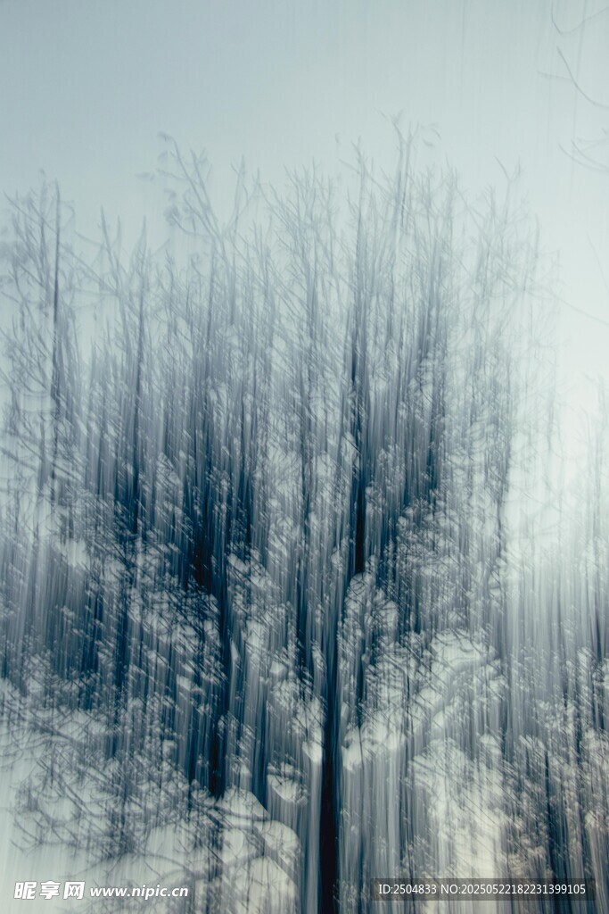 冬日雪林景致