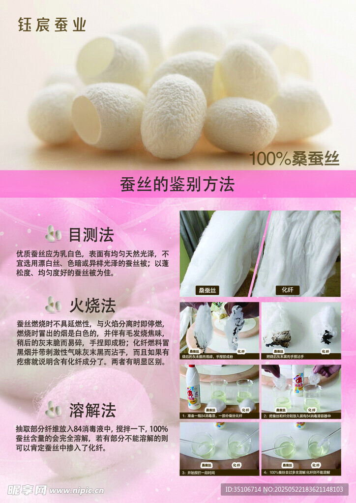 蠶繭及蠶絲制作過程展示